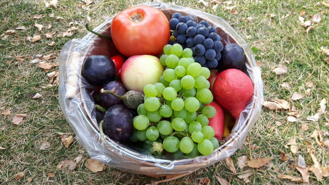 Come get your Autumn fruit in a basket at Hillhurst Sunnyside today! It's the last outdoor market but it will continue indoors on Wednesdays