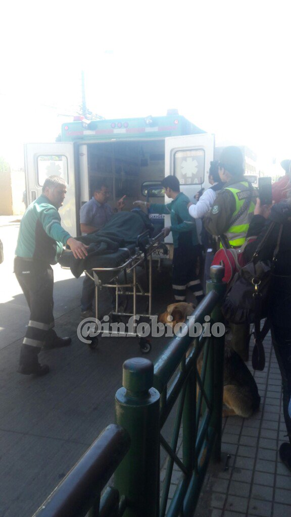 infobiobio's tweet photo. #LosAngelesCL 
Mendoza afuera de Mall, menor inmovilizado por personal Mall al caerle macetero, trasladado por ambulancia Achs. https://t.co/XSx2MpjFdi