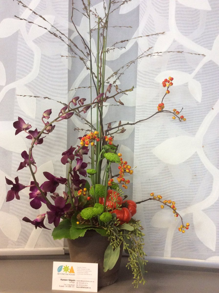 StudioShanthaly's tweet photo. Merci à Beyond the House pour décorer notre salon. Thanks to Beyond the House for decorating our salon. @beyondthehouse https://t.co/Qy1eZEP5MU