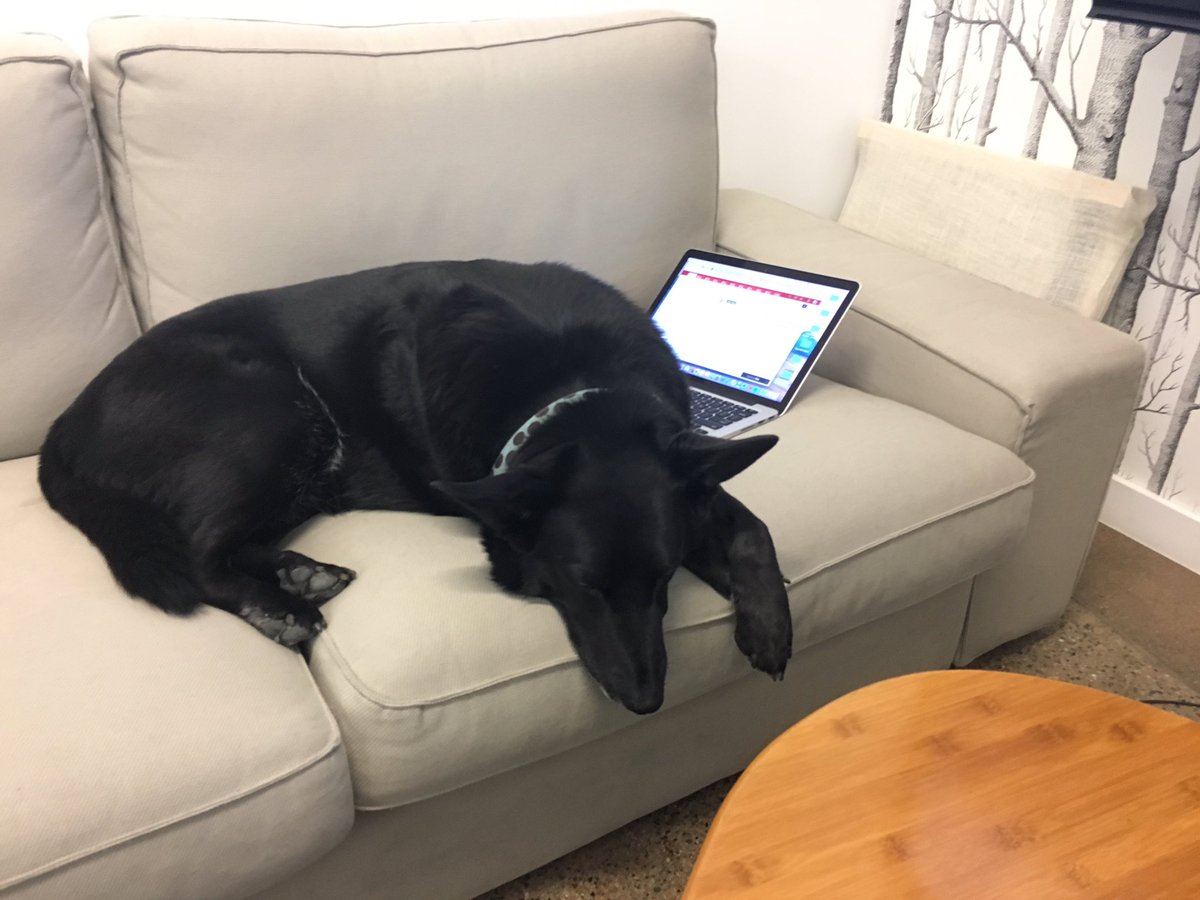 All these customer support tickets are starting to get to me. Time for a walk.