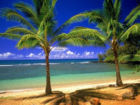 Travitinerary's tweet photo. Popular Islands to Visit https://t.co/abucb41LhT #TravelDestinations #PopularIslands #Islands ☀️✈️🌴⛵ https://t.co/Uf694ZnciQ
