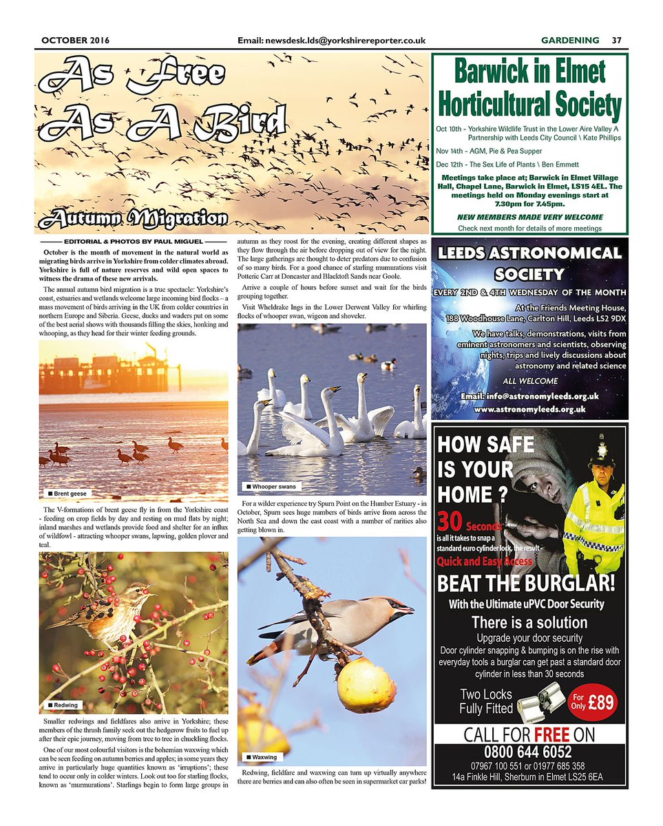 paulmiguelphoto's tweet photo. My first #nature column for #yorkshirereporter newspaper on #autumn #bird #migration @yorkshirereport https://t.co/qwj96bOwMS