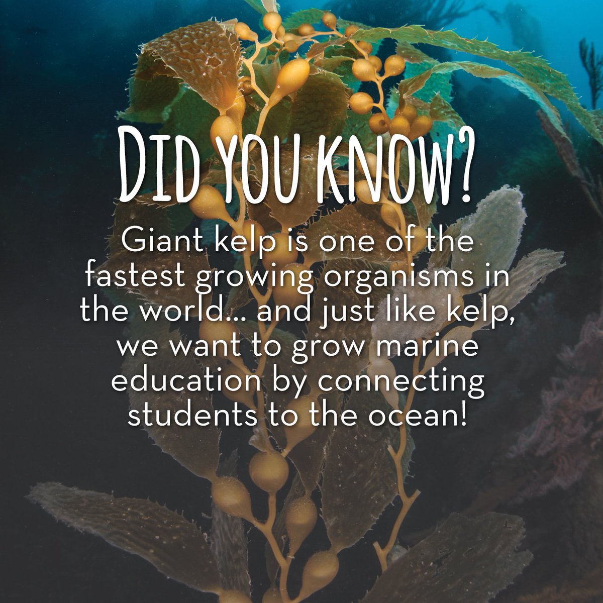 Happy #WorldTeachersDay! Get some #WednesdayWisdom and free lesson plans from our Kids Environmental Lesson Plans. bit.ly/1utLTPB