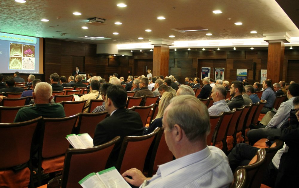 Is mpMRI a more accurate alternative to biopsy? Read on as Prof Turkeri shares his insight ow.ly/I3vX304RWHQ #SEEM16 #ProstateCancer