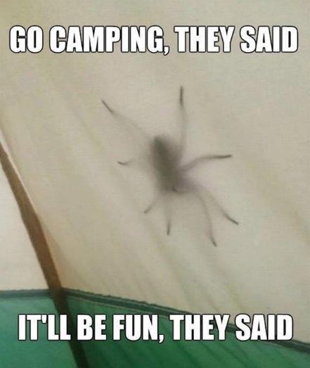 Sun_Outdoors's tweet photo. Eeeeeeeek! What are some of your most frightening camping experiences? https://t.co/yCLyutlhzV