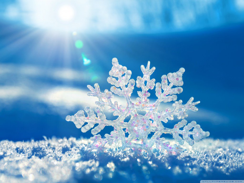 Valor_SF's tweet photo. You Are A Snowflake https://t.co/WvvWDkHlST https://t.co/PnxP7AhePo