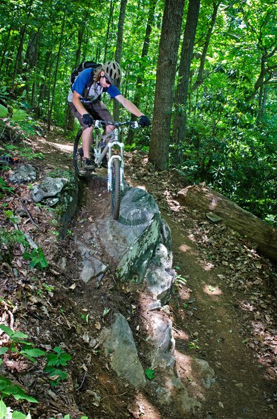 Rocky Knob Mountain Bike Park Entrance Fee