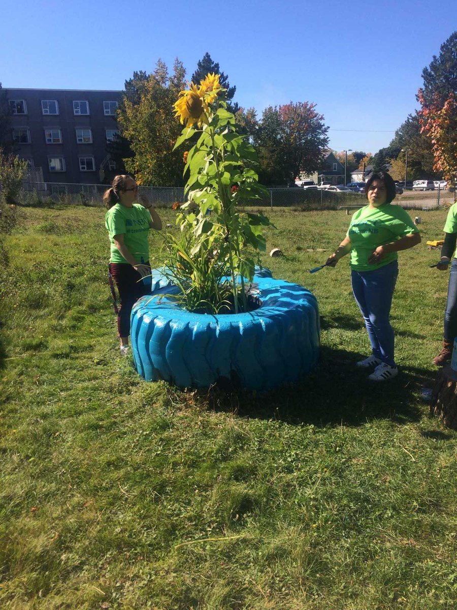 Cynthia Murphy tweet media