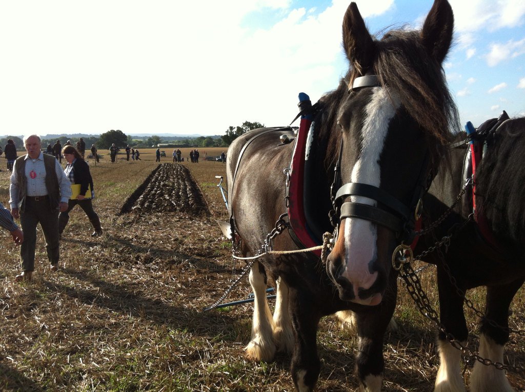 FieldStreamuk's tweet image. What a day at Brailsford ploughing match, hundreds there, well done committee.