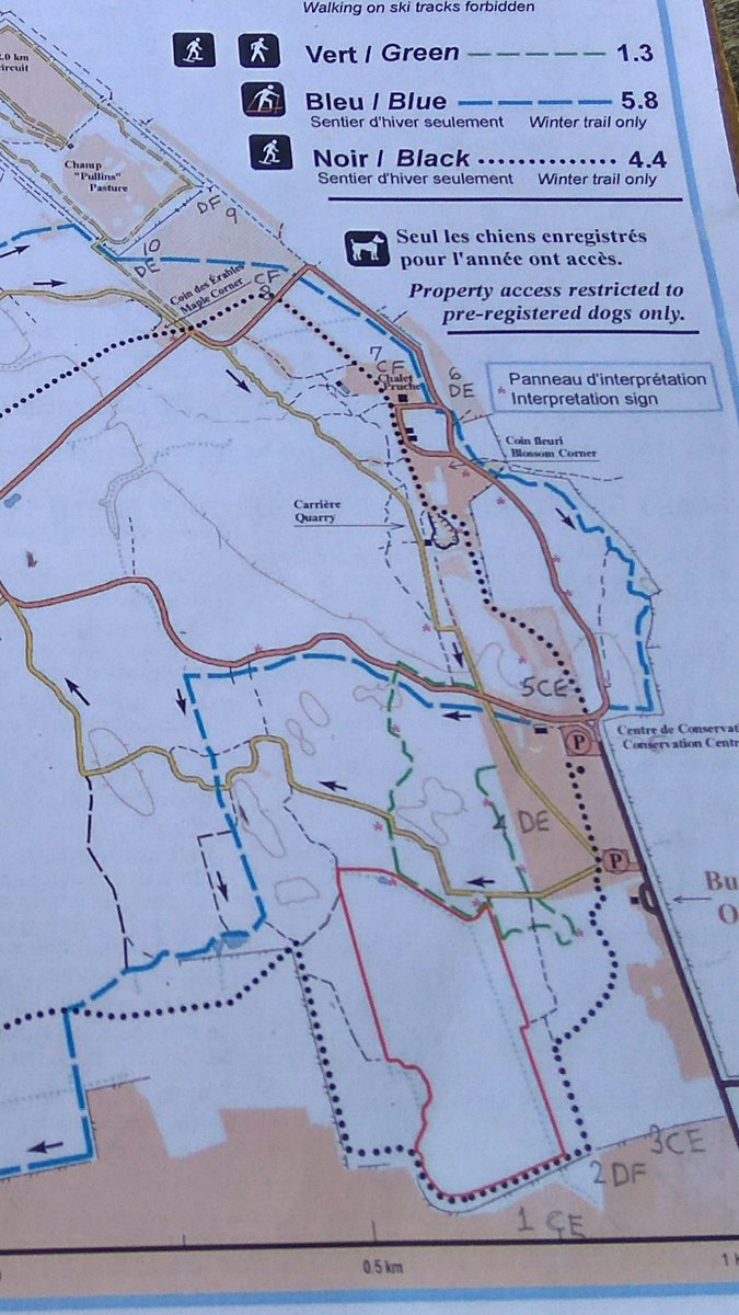 MacBirds2016's tweet photo. Making our mark and scouting the route! #ENVB222 #research #plans #notgettinglost #trails https://t.co/S1KY6qcPqZ