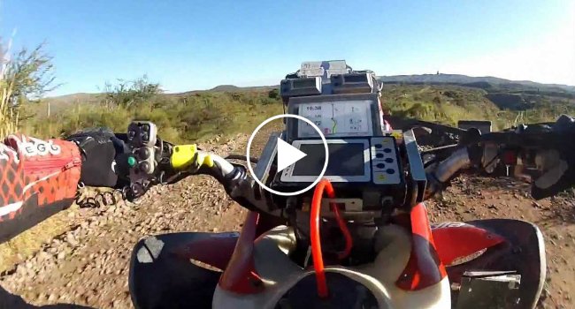 DesconcertanteC's tweet image. Praticante De Moto 4 Tem Encontro Inesperado Com Vaca… e Não Corre Da Melhor Maneira!
desconcertante.com/praticante-de-…