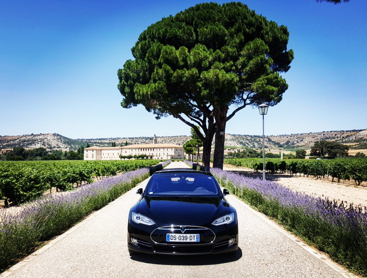 Tesla's tweet image. With 3,200+ Destination Charging locations worldwide, you can enjoy the French vineyards or Vermont's mountains, while charging your Tesla