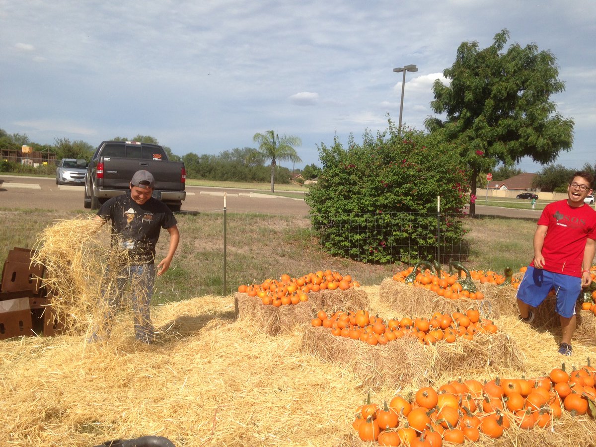 RGV_UMSM's tweet photo. Pt2 🎃 https://t.co/BAedgEktSq