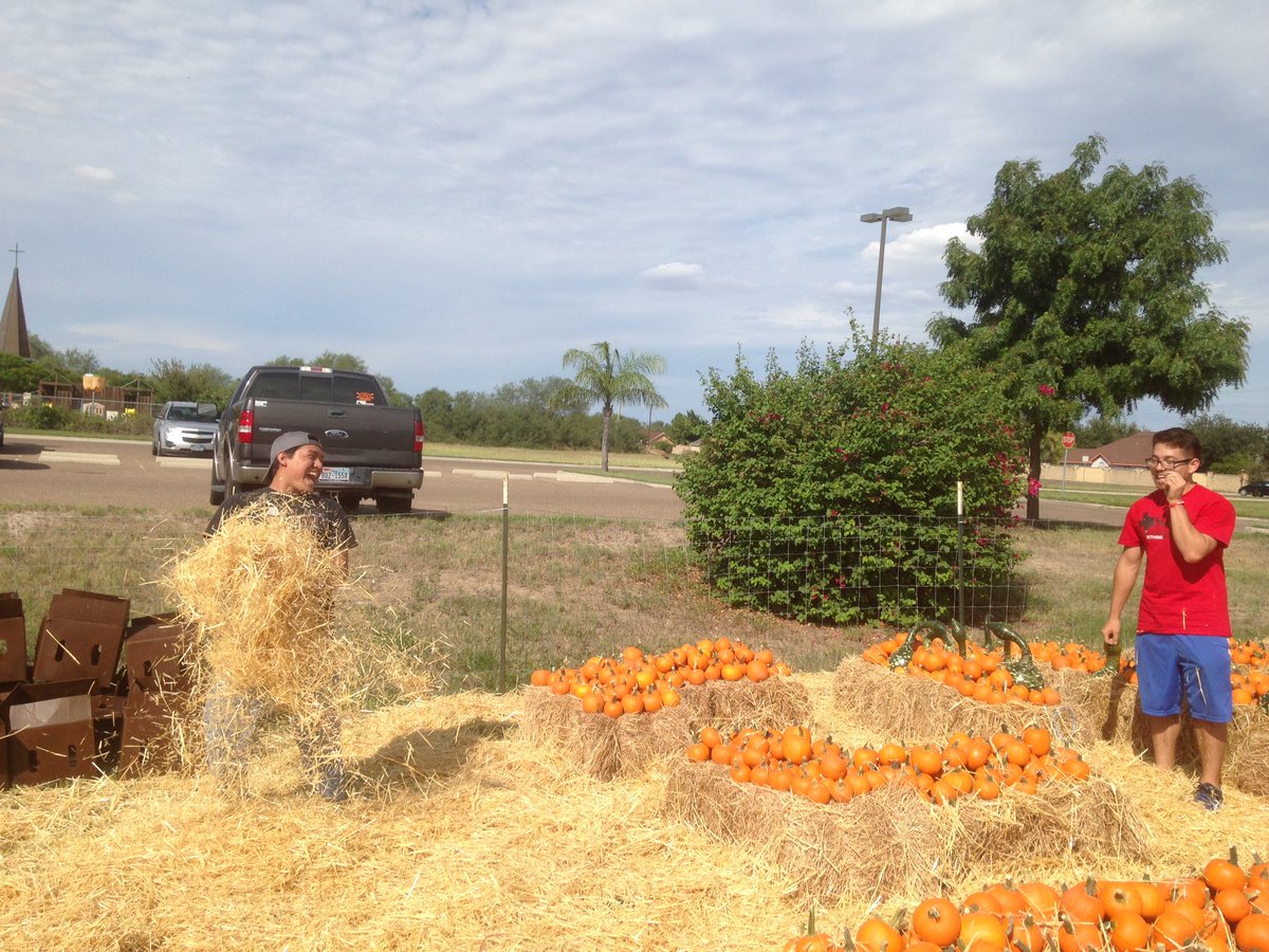 RGV_UMSM's tweet photo. Pt2 🎃 https://t.co/BAedgEktSq