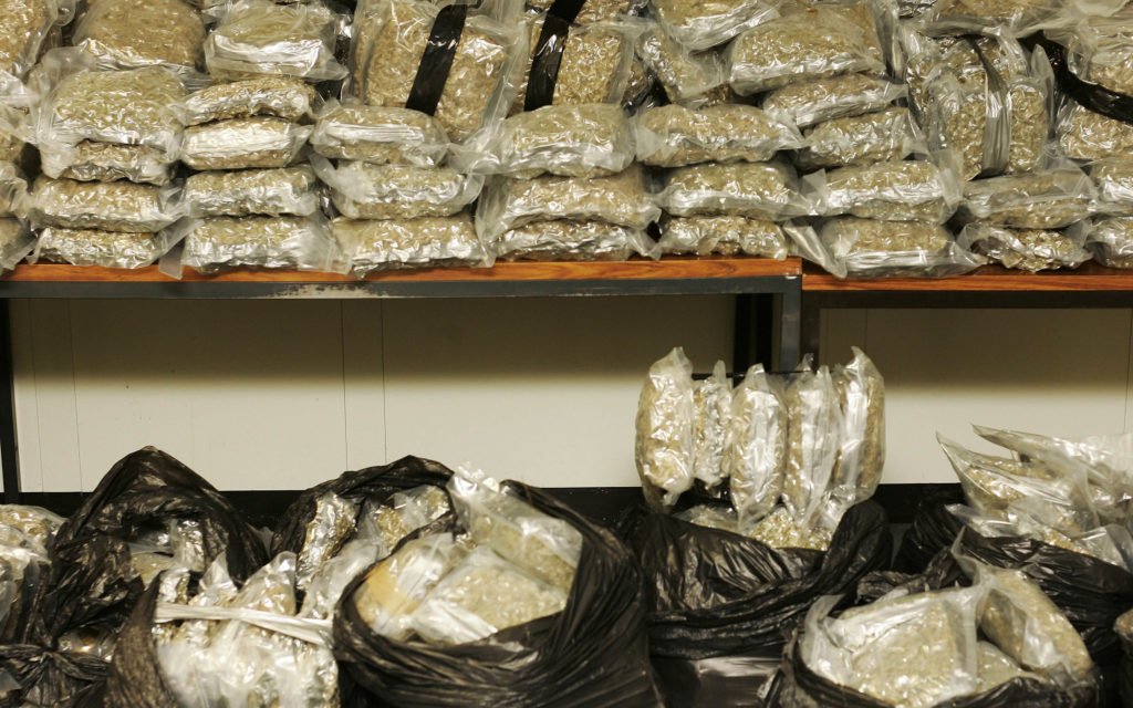 HIGH_TIMES_Mag's tweet photo. #READ It Just Sits Around Getting Moldy! Denver Cops Don’t Have Enough Space to Store All the Pot They Confiscate. https://t.co/XJkR5Yo0Tz https://t.co/juMHC2pQI6