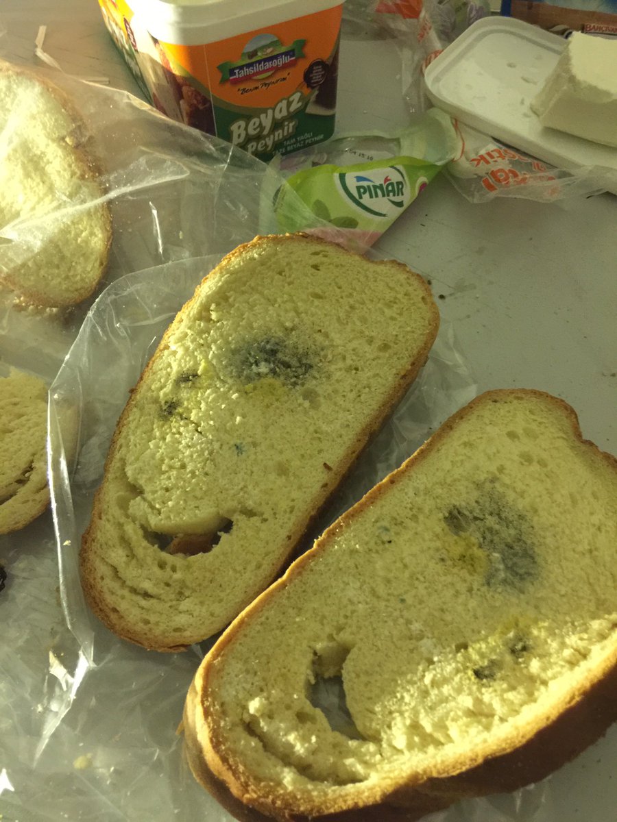 esisemi's tweet image. Mıgrosta kontrol yok 1 saat once aldıgım ekmek kuflu cıktı@Migros_Turkiye @migros nisantası