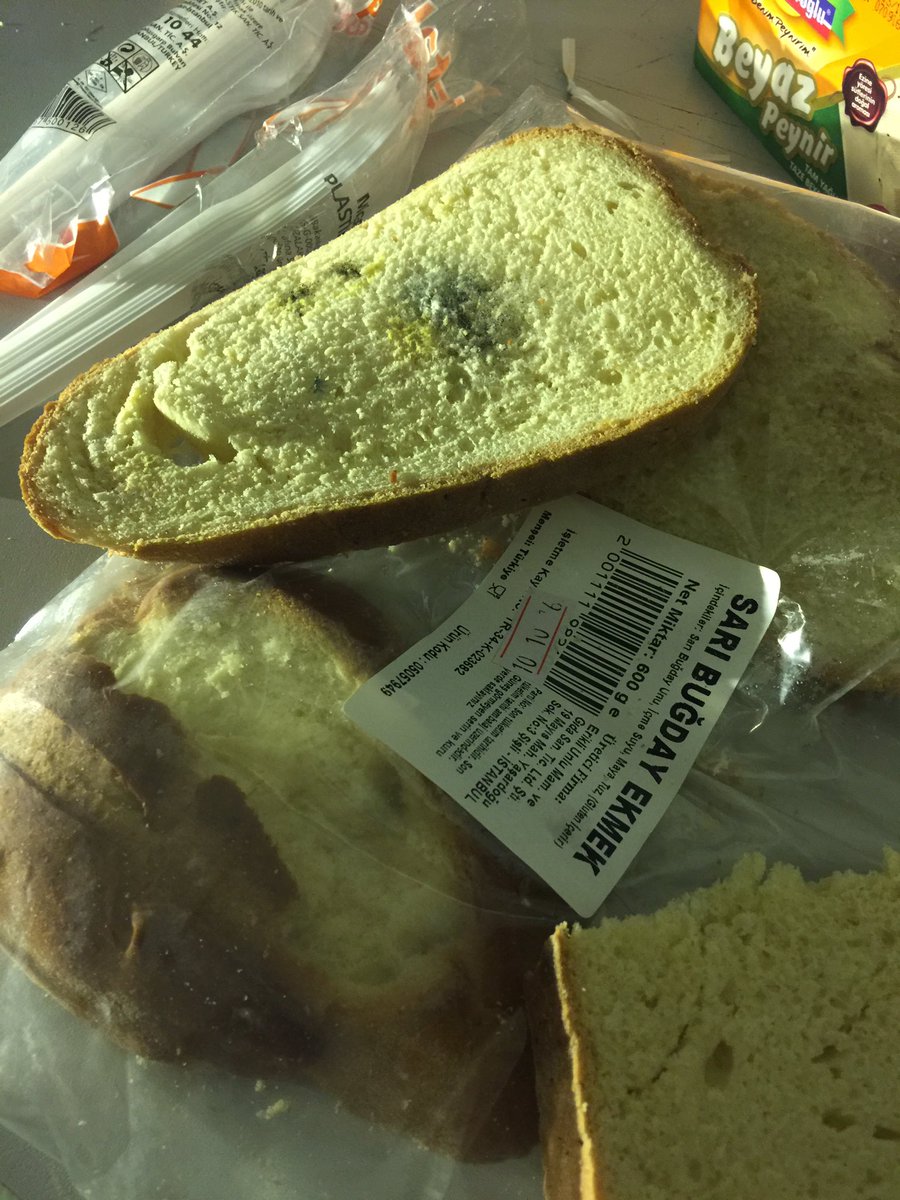 esisemi's tweet image. Mıgrosta kontrol yok 1 saat once aldıgım ekmek kuflu cıktı@Migros_Turkiye @migros nisantası