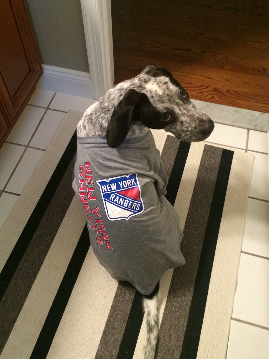 EmmieScan's tweet photo. Disregard the look on his face he loves it #NYRuff https://t.co/F7KLT7ht5q