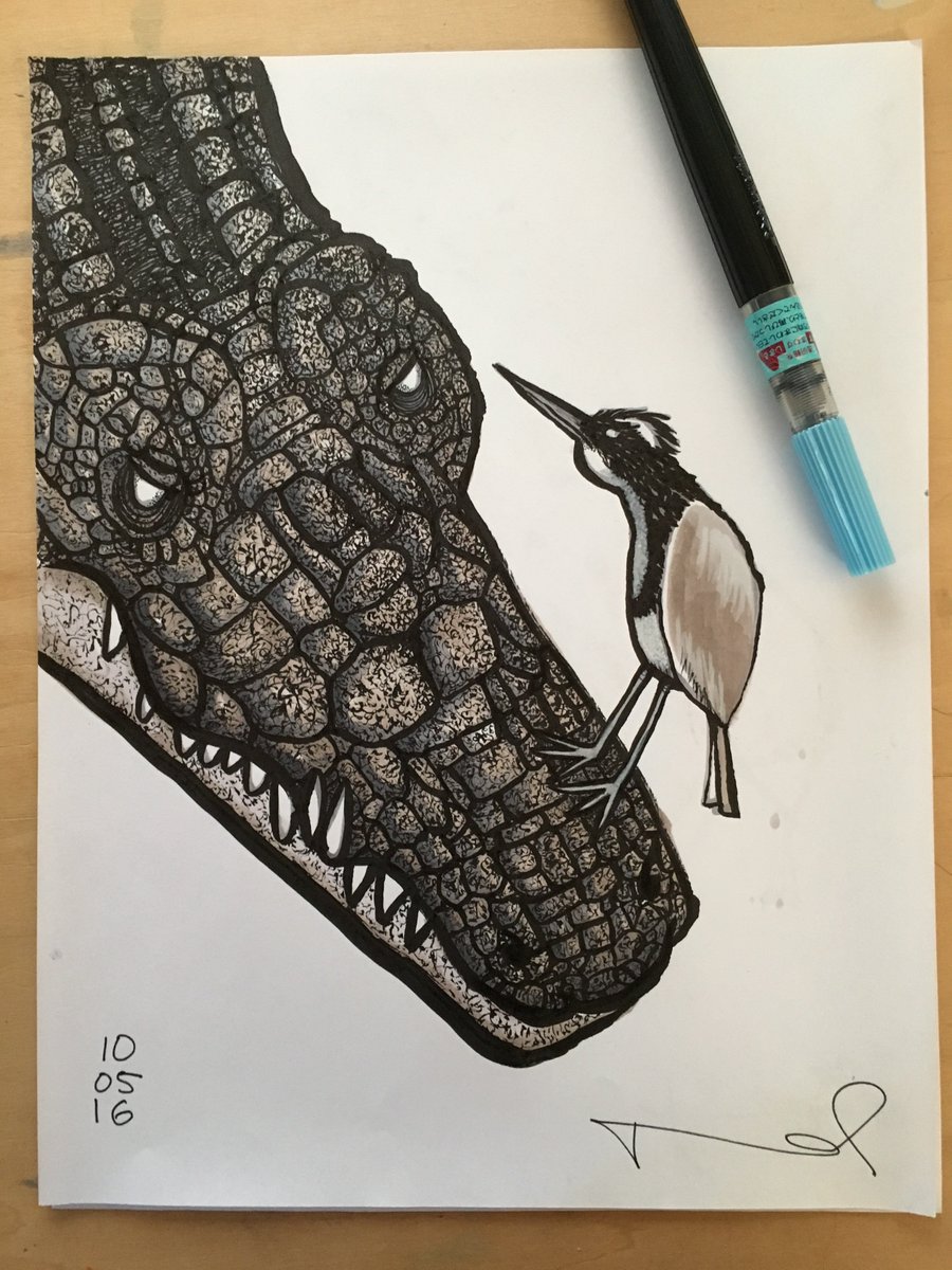 thms555's tweet photo. Day 5 - Crocodile & the Plover Bird
Drawn with the Pentel Fude Brush Pen again. #inktober #inktober2016 #crocodile #pentel #ploverbird https://t.co/3MJvnAlkLY