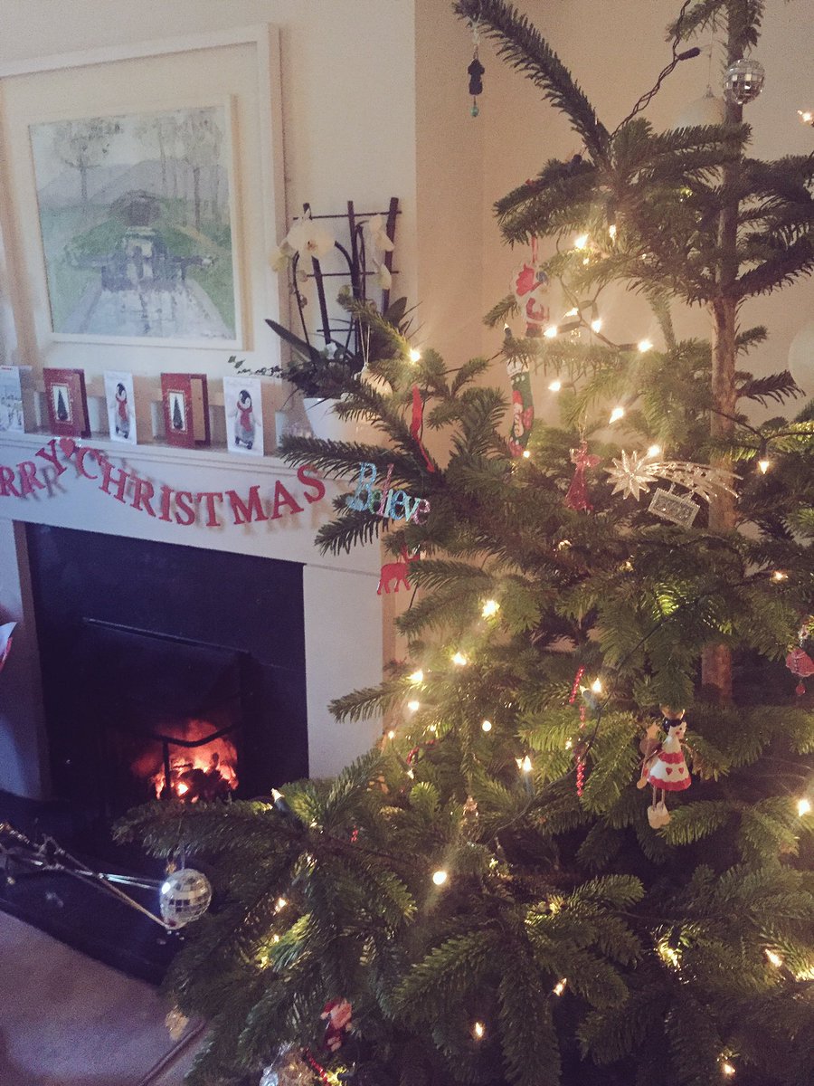 paulalyne's tweet image. Celebrating Christmas early with @Aldi_Ireland... featuring a real 🎄 and all. Basically in heaven rn #readyfordecember #aldichristmas