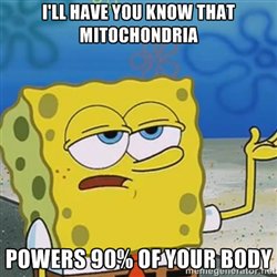 m1gh7ychondria's tweet photo. We are the definition of the power of the people #votemitochondria #leapbio https://t.co/ar6n2bwIBg