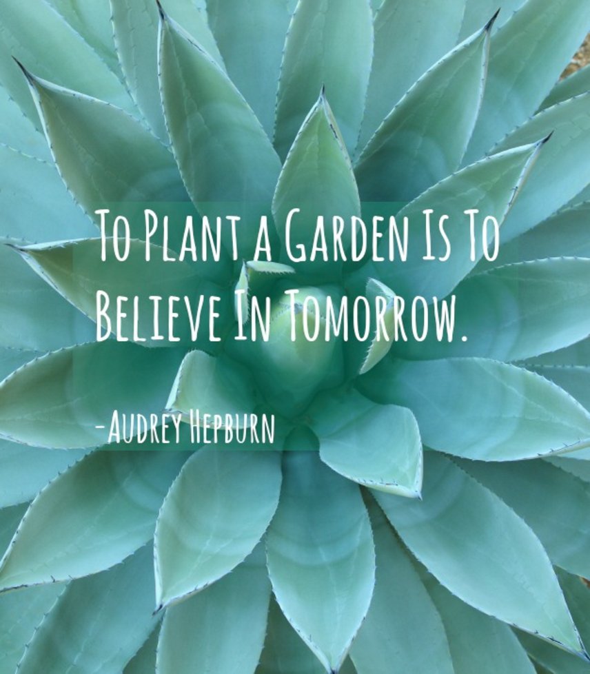 Emily Murphy On Twitter To Plant A Garden Is To Believe In
