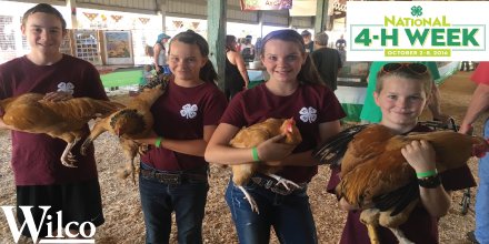 WilcoStores's tweet photo. Happy #National4hWeek to our friends that participate in #Oregon4H & @wastate4h! See more about @4H > https://t.co/YecihvtcYE #4HGrown https://t.co/SMi6aSddKA