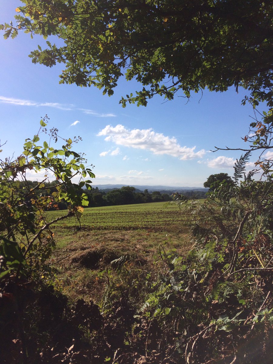 DevonDazeBlog's tweet image. Good evening #devonhour @Devon_Hour! Hope you're well and enjoying this amazing weather! #lovedevon #devonisheaven #southwestisbest!