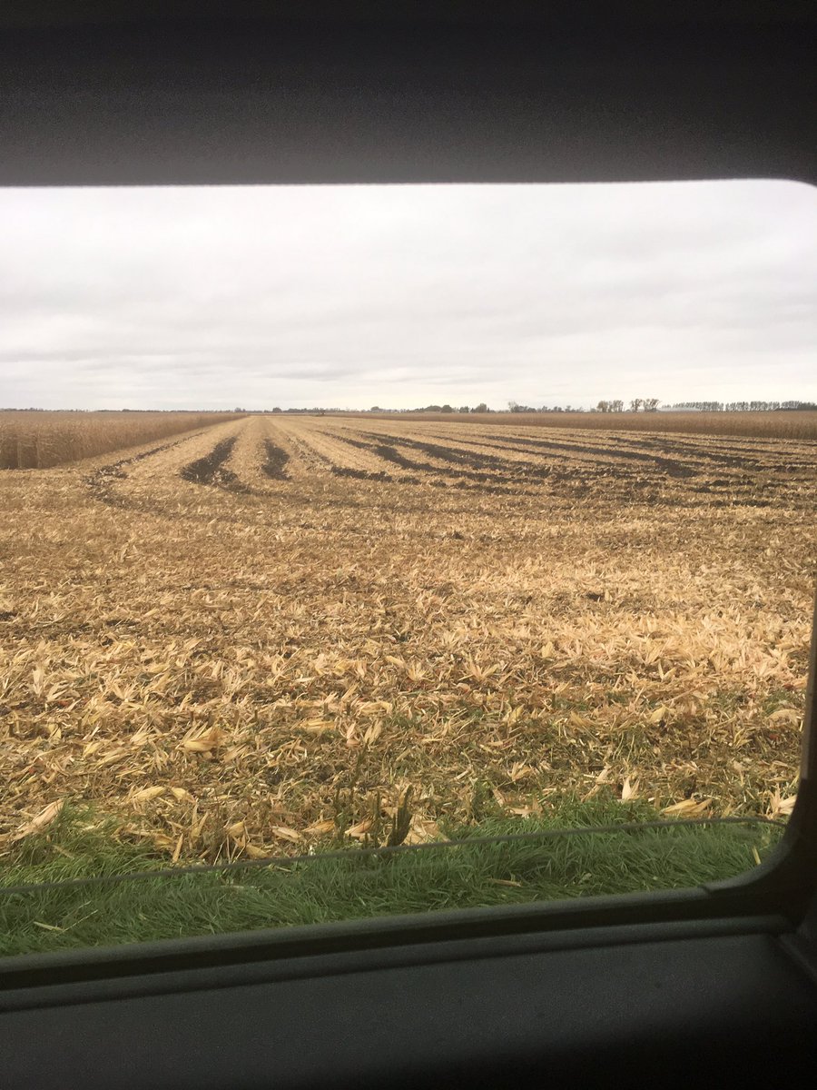 Just starting corn,going to be a long wet harvest!