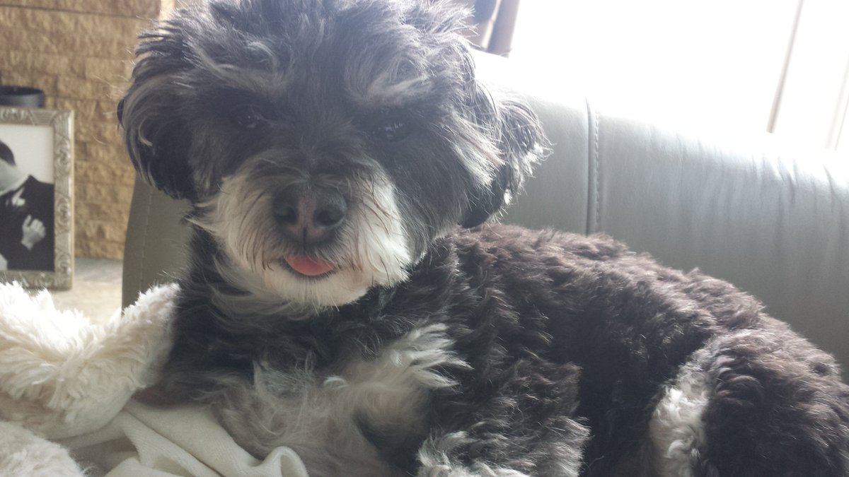 TRU Actors Workshop tweet media