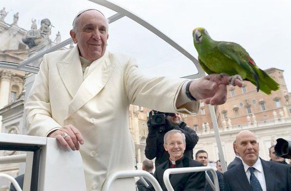 DenzBergoglio's tweet photo. El pecado ¿una ofensa contra el mundo? https://t.co/waSFInZ7tx https://t.co/KML7z6PfLb