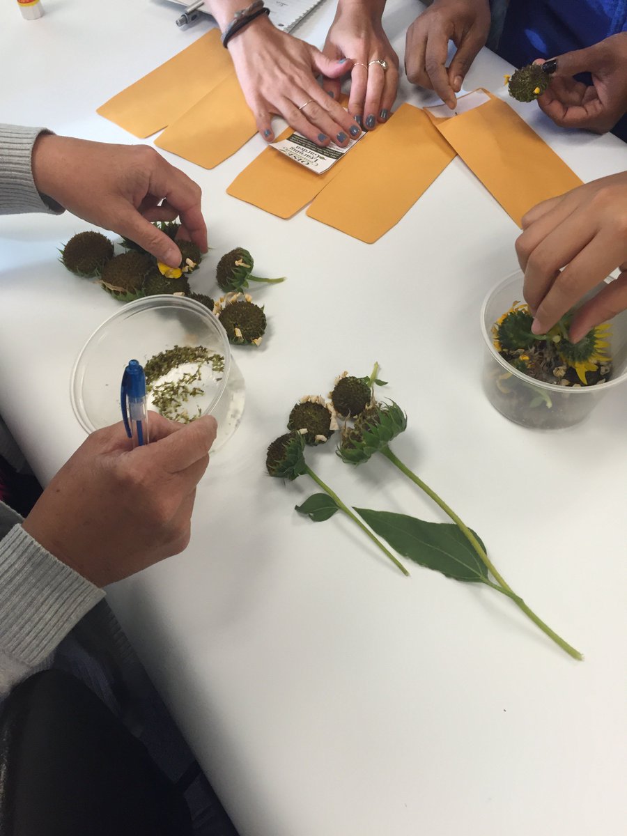 OISE_SCAN's tweet photo. Phenomenal to see ESE in action!
A great kick-off to our workshops for the year (:
#learnoiseese #oiseese #SeedsforChange https://t.co/Uly4iUgqKl