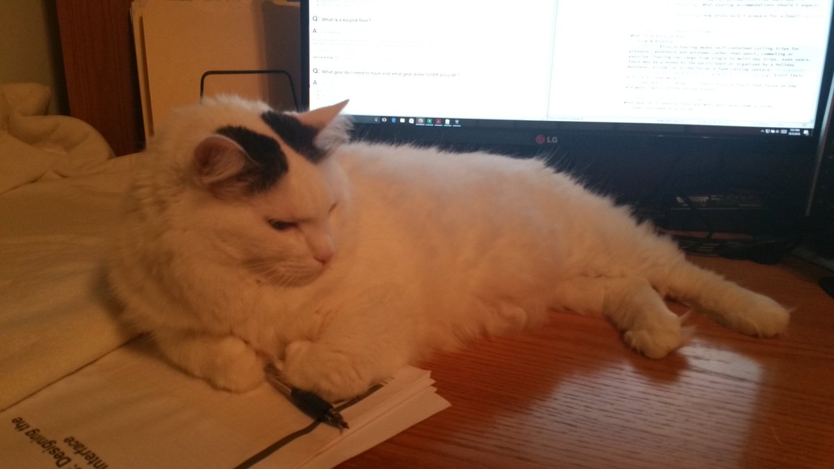 Mr_Bailey_Cat's tweet image. Another pic of me helping Mom. #cathelp #catcoder