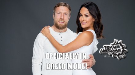 TeamAwesome418's tweet photo. Congratulations on your pregnancy! #BreedMode #TotalBella @BellaTwins https://t.co/7WG026RcmW