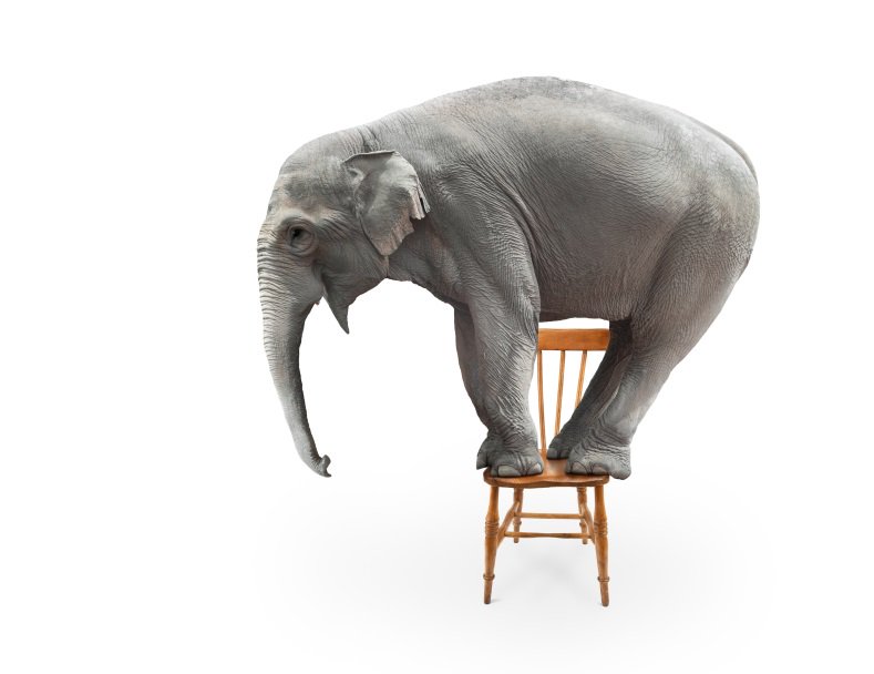 zend's tweet photo. Resolving bugs & ensuring high availability: webinar replay & answers to audience questions by @clarkphp
https://t.co/Py3XkvgjPf #PHPBasics https://t.co/i5eI16NfUV