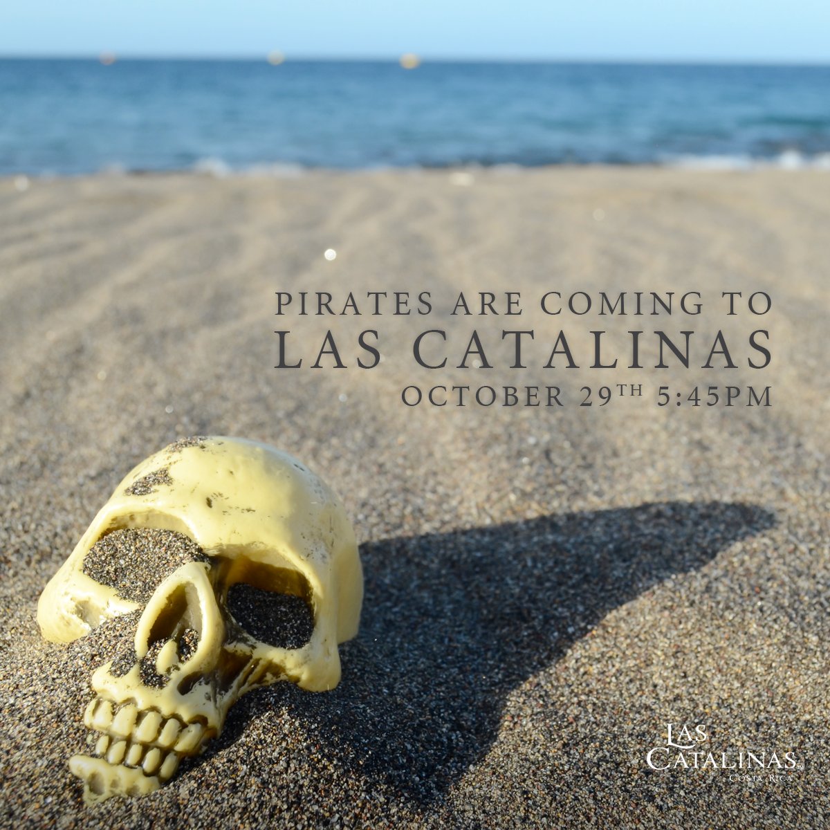 Trick or treat, treasure hunt and more surprises! Don’t miss our Halloween celebration!