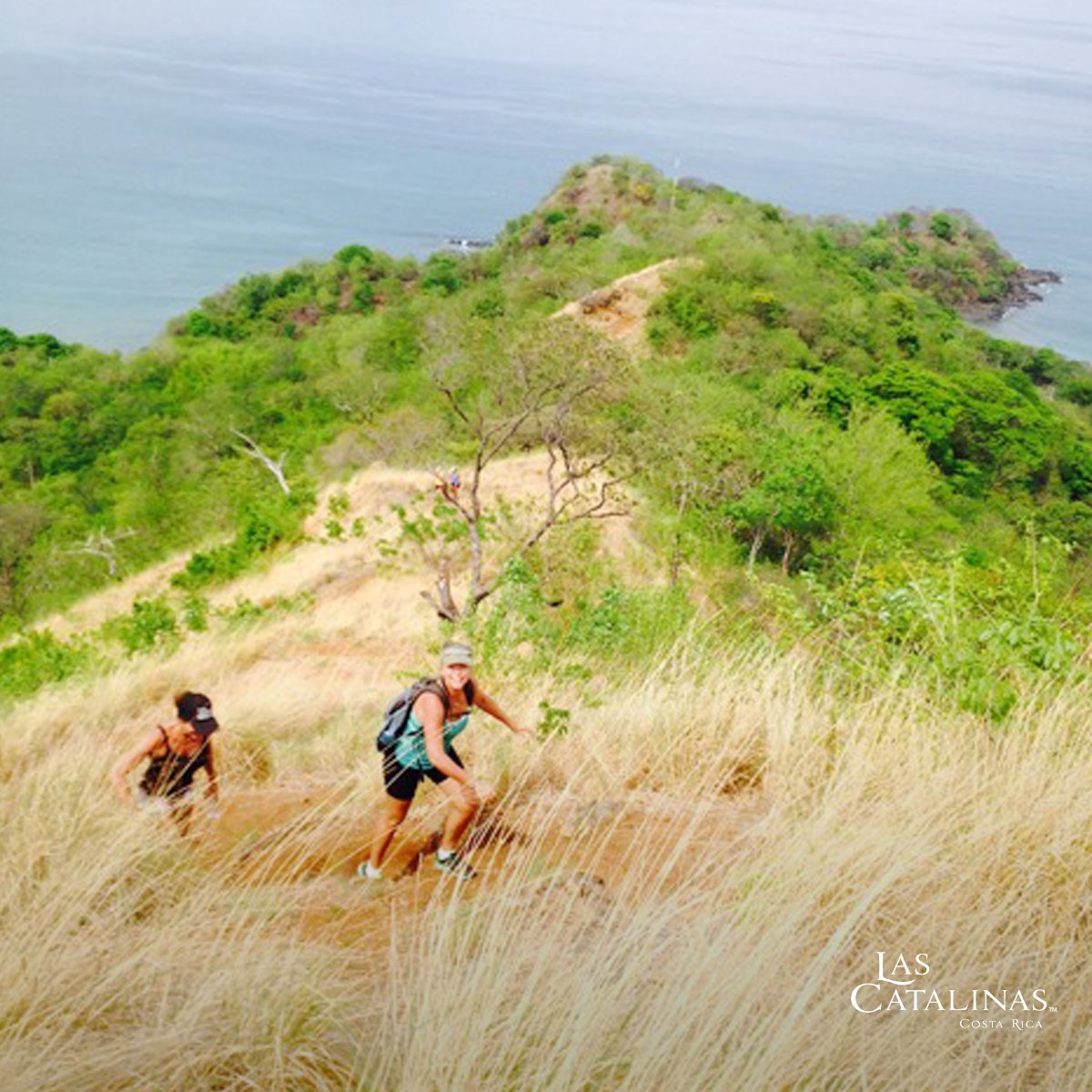 We love getting closer to nature! Exercising in the open air and taking in positive energy.