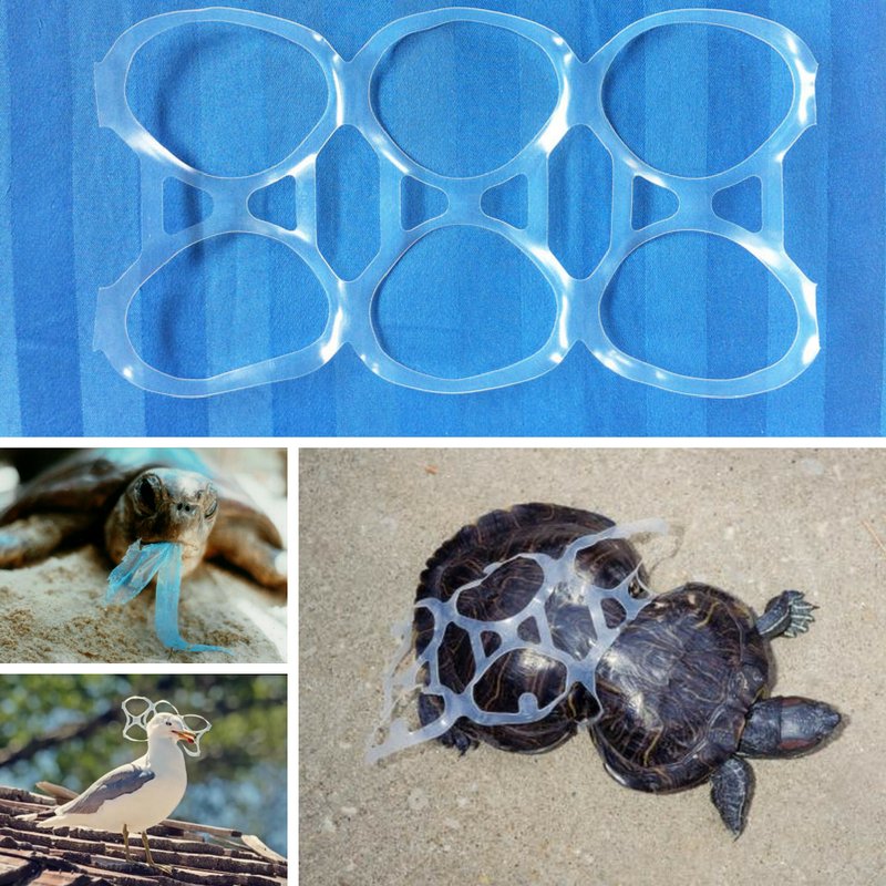 Casatropical's tweet photo. Cuidemos nuestra #CasaTropical y sus habitantes. ¡Crea Consciencia! https://t.co/ad4A2Pf0sO