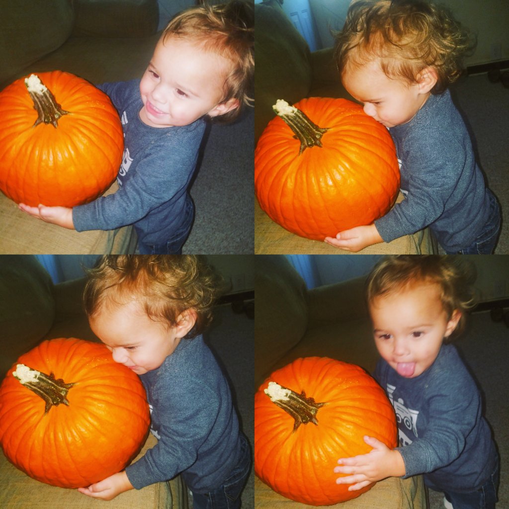 hannobananoo's tweet photo. My baby fell in love with a pumpkin today 😏 🎃 https://t.co/y2D5hf0E4r