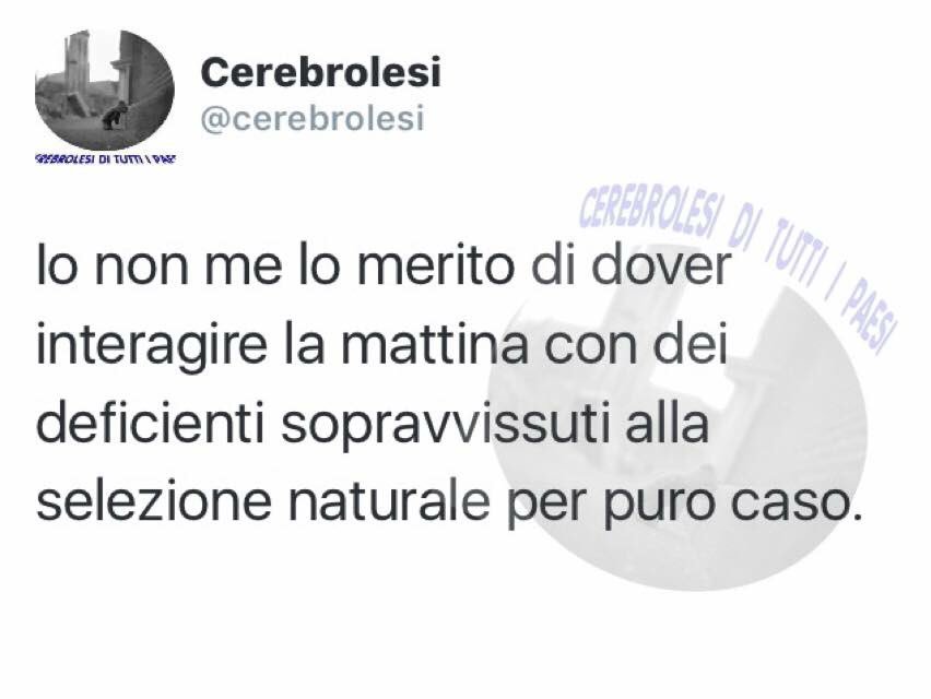 insegretobdggdr's tweet photo. <3 https://t.co/cJYMjbO6bs