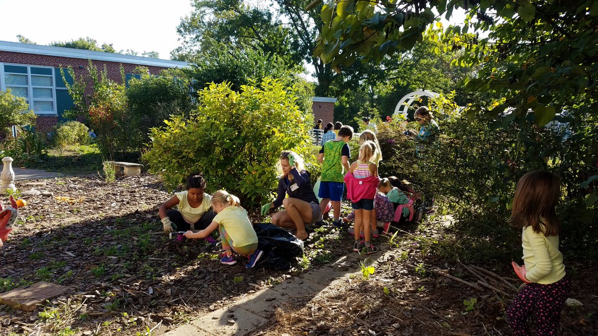 David  Paul tweet media