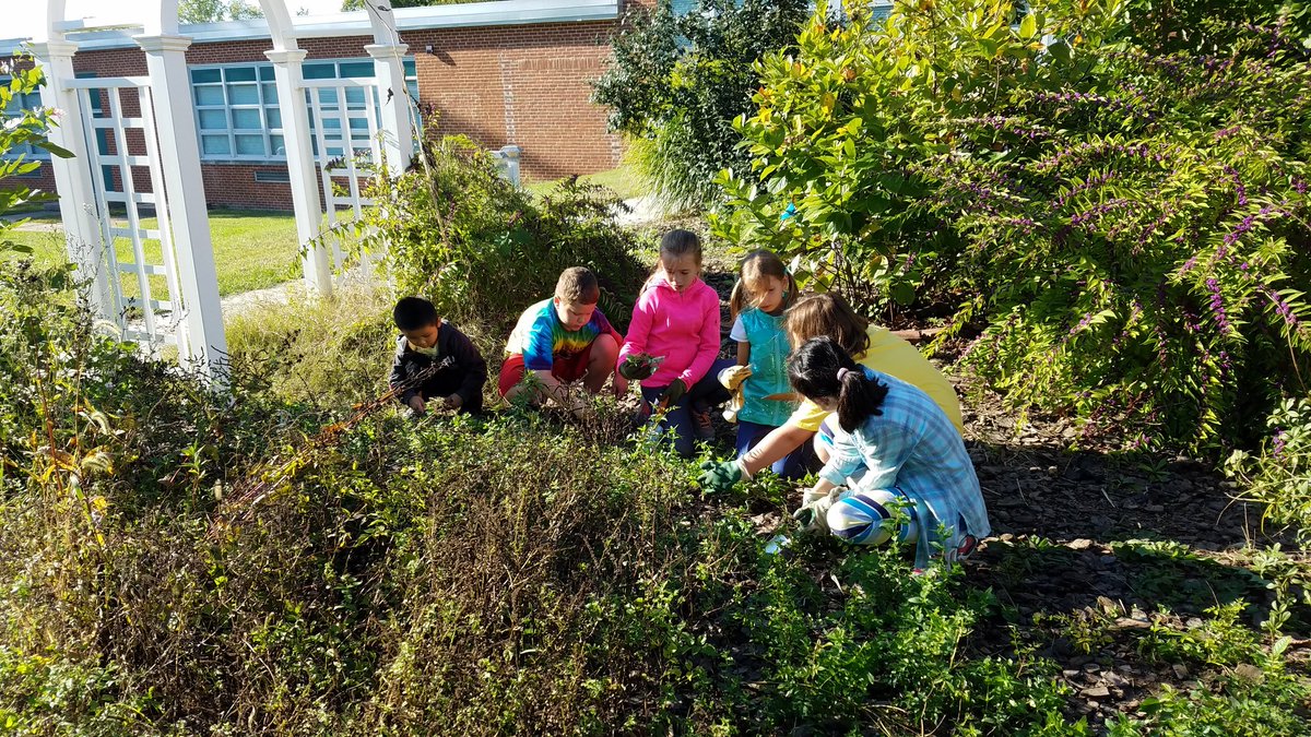 David  Paul tweet media