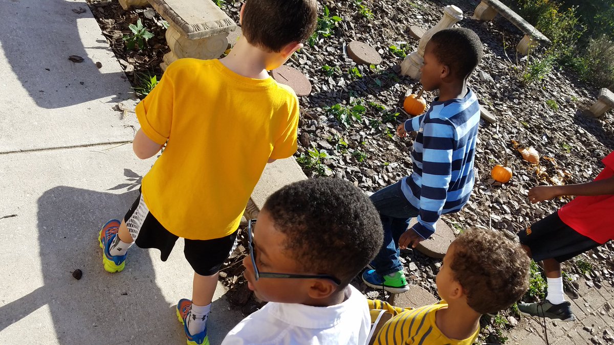 David  Paul tweet media