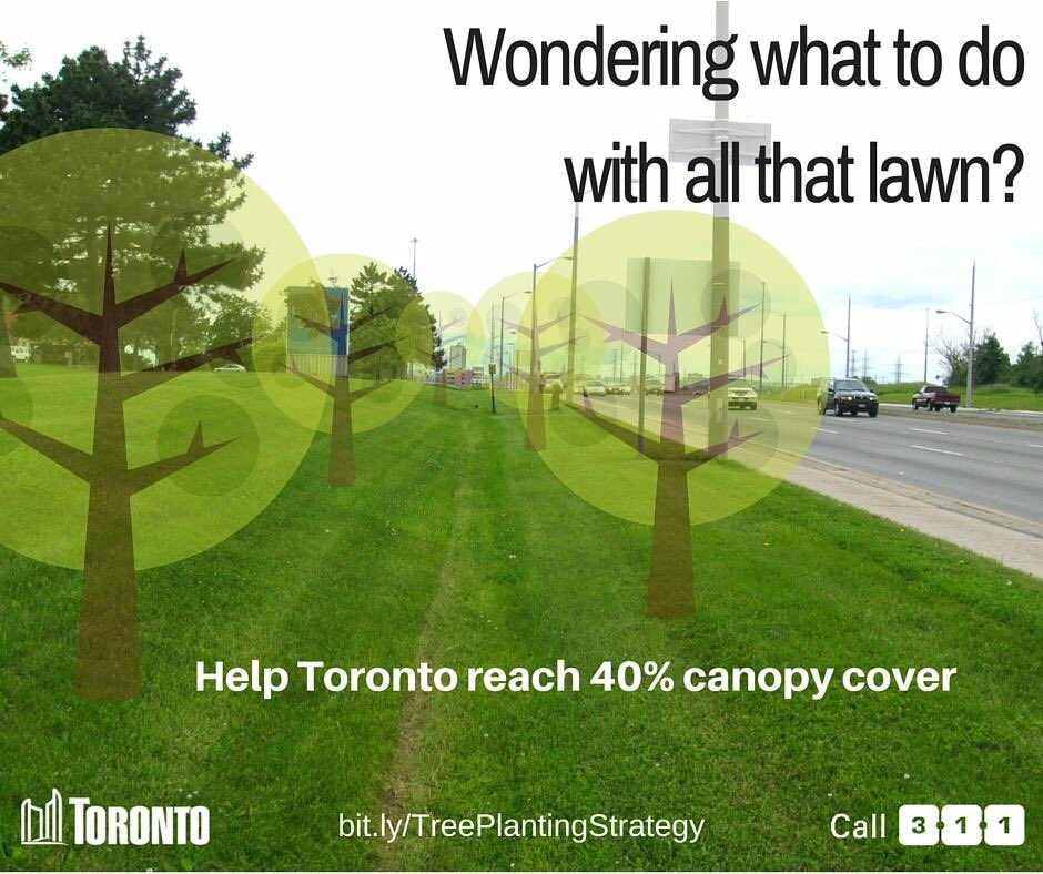 cityoftoronto's tweet photo. Got an empty lawn? Request a tree on City property in front of your home/business. Call @311Toronto. More info here https://t.co/IBEF4Me4Cz https://t.co/PrWcfILani