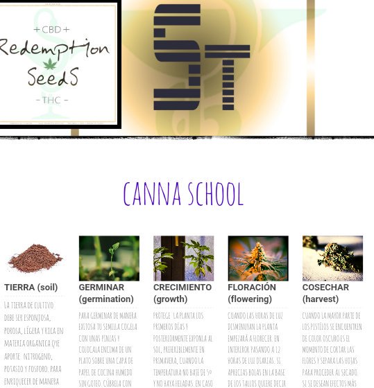 RedemptionSeeds's tweet image. "The humus is great ally both growth and flowering, 40% of the surface and at flowering optionally"