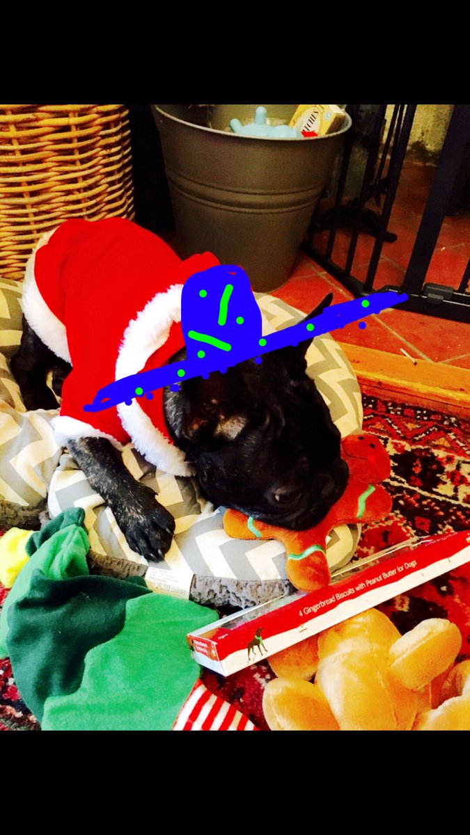 harribocg's tweet photo. #iguanaschristmas NHS paediatric therapy team st Georges London https://t.co/PZYS8Et0qA
