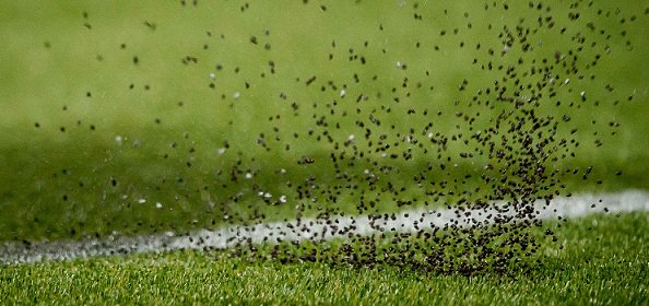 Soccernews_nl's tweet photo. Zembla waarschuwt voetballers: "Vermijd huidcontact met kunstgras" #zembla https://t.co/oUE5AXIxyh https://t.co/fHEB0fVJR8