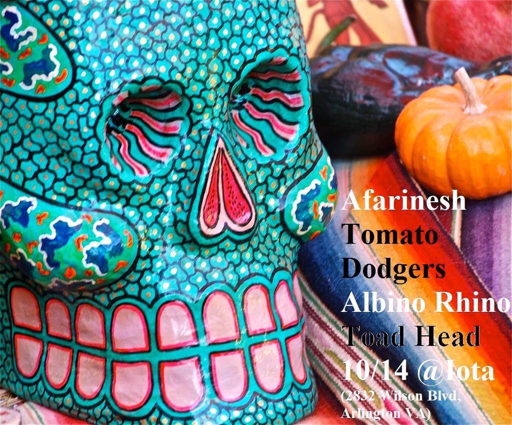 Afarineshband's tweet photo. Join us next week @IOTAclub on Friday, October 14th! 😄 #iotaclub #albinorhino #tomatododgers #toadhead #afarinesh https://t.co/YBmuSCChzj