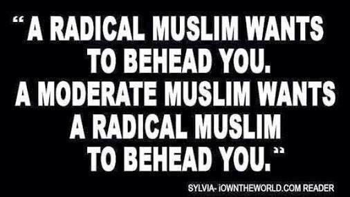 independance95's tweet photo. Pensée du jour
#polqc #assnat #islamarde https://t.co/kbhfRzOEKx