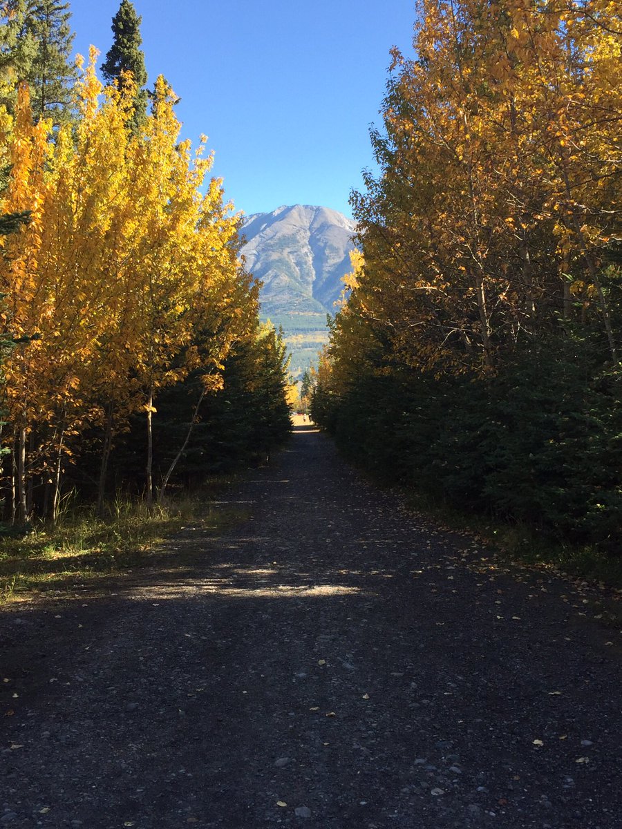 CondoCanmore's tweet photo. Canmore is beautiful this time of year. Come stay in our condo. We'd love to have you #Banff2016 #Canmore #hiking #skiing https://t.co/FziHnViEUv
